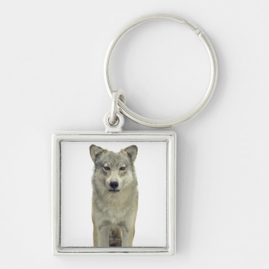 Porte-clés Un loup (Devant)
