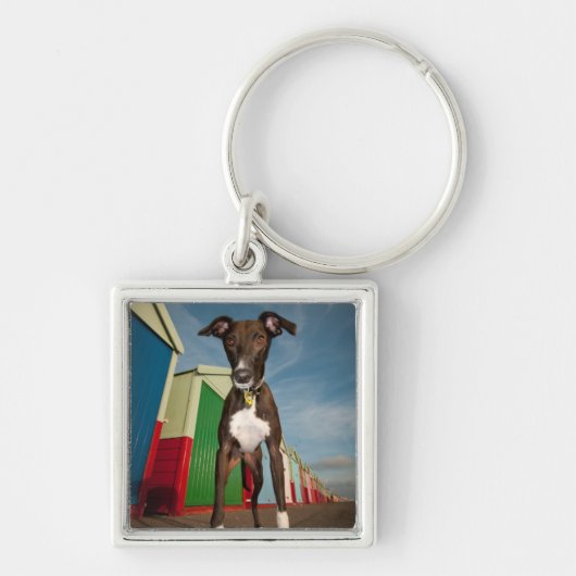 Porte-clés Un Lurcher se tenant devant quelques huttes de (Devant)
