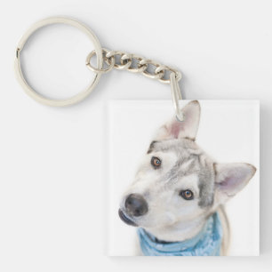 Porte-clés Un mélange sibérien d'Husky se tortille la tête