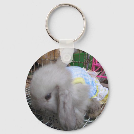 Porte-clés Un mignon lapin en robe (Recto)