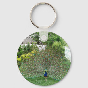 Porte-clés Un paon dans un anneau de clé de jardin