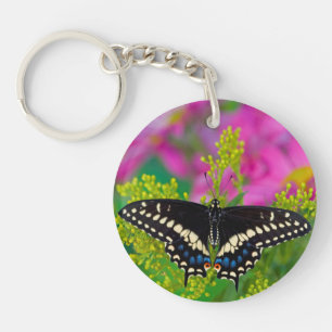 Porte-clés Un papillon Machaon se pose