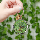 Porte-clés Un papillon monarque (Main)