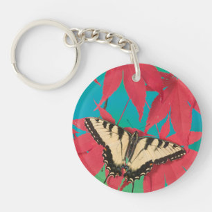 Porte-clés Un papillon Papilio canadensis