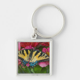 Porte-clés Un papillon Papilio glaucus