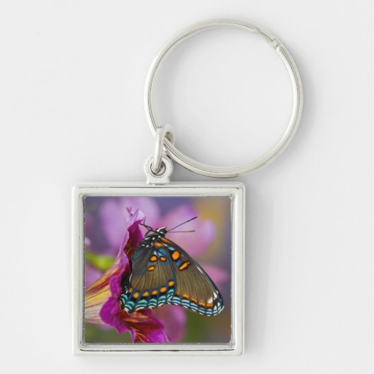 Porte-clés Un papillon swallowtail (Devant)
