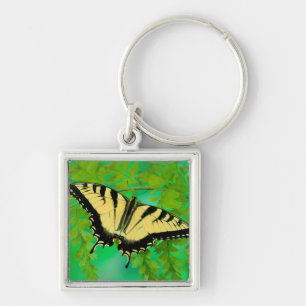 Porte-clés Un papillon swallowtail atterrissant