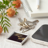 Porte-clés Un philosophe, 1635 (huile sur le panneau) (Côté)