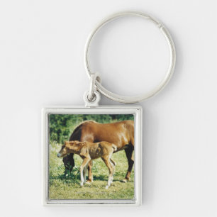 Porte-clés Un poulain et un cheval dans un pâturage