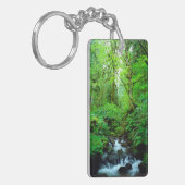 Porte-clés Un ruisseau dans une forêt ancienne (Devant gauche)