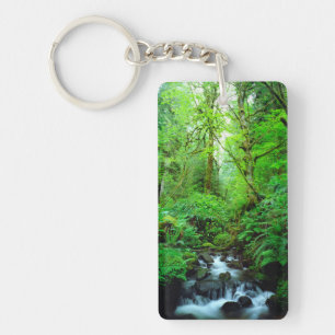 Porte-clés Un ruisseau dans une forêt ancienne