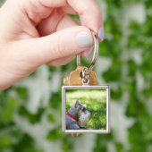 Porte-clés Un Schnauzer s'étendant dans l'herbe (main)