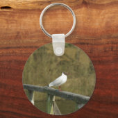 Porte-clés Un sterne - porte - clé (Recto)