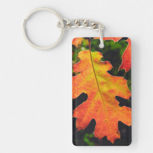 Porte-clés Une feuille de chêne dans la forêt nationale de Si