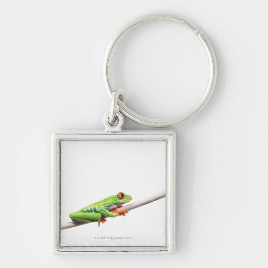 Porte-clés Une grenouille accrochant dessus (Devant)