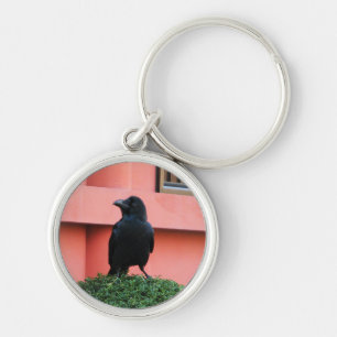 Porte-clés Une Jungle À Gros Billages Croque Une Perche Sur U