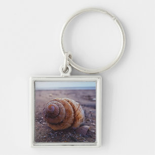Porte-clés Une macro vue de Shell en spirale