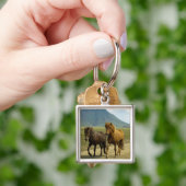 Porte-clés Une paire de poneys islandais Brown (main)