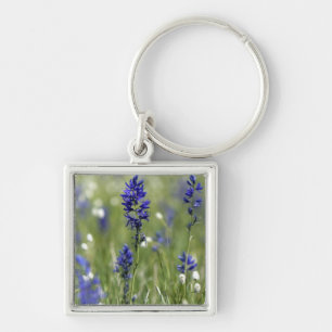 Porte-clés Une prairie de montagne de fleurs sauvages compren