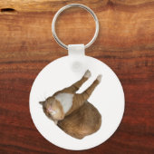 Porte-clés Upside-Down Sunshine Cat (Recto)