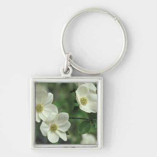 Porte-clés USA, Californie, Yosemite NP, le long de Merced (Devant)