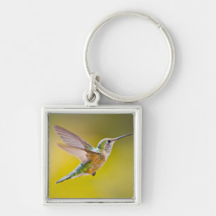 Porte-clés USA, Colorado, Summit County, Heeney. Vue de côté