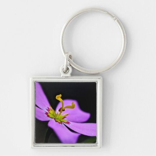 Porte-clés USA, Floride, Big Cypress National Preserve (Devant)