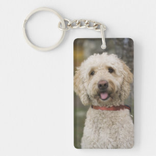 Porte-clés USA, Nouvelle-Angleterre, Massachusetts, Lecture,