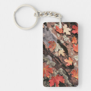 Porte-clés Utah, Parc national de Sion, Motifs de l'automne