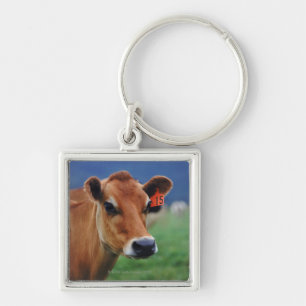 Porte-clés vache 2