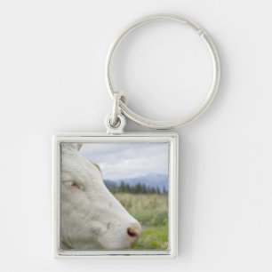 Porte-clés Vache Brown avec un signe dans lui ? oreille de s