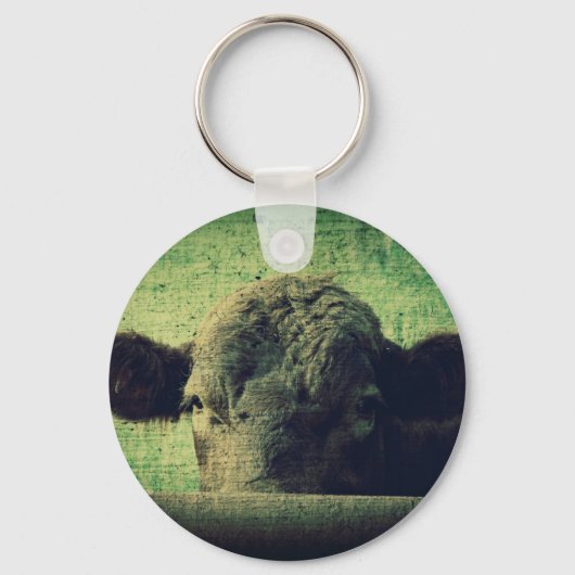Porte-clés Vache curieuse (Recto)