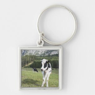 Porte-clés Vache dans un pré, Fie Sciliar Allo, alto l'Adige