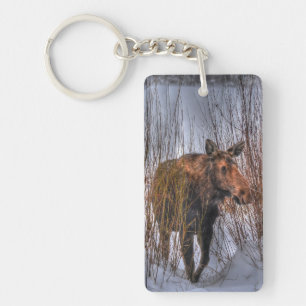 Porte-clés Vache d'orignal sauvage canadienne en neige d'hive