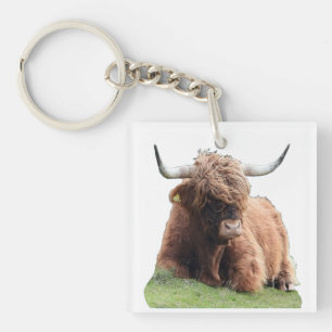 Porte-clés Vache Écossaise Mignonne aux longs poils des Highl