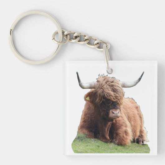 Porte-clés Vache Écossaise Mignonne aux longs poils des Highl (Devant)