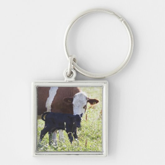 Porte-clés Vache et veau (Devant)