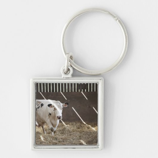 Porte-clés Vache laitière (Devant)