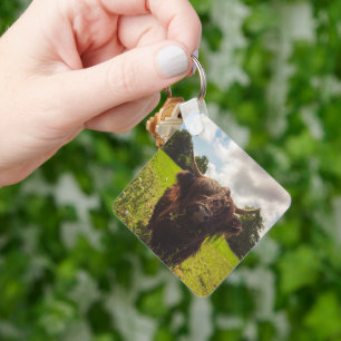 Porte-clés Vache noire pâturage vert champ soleil
