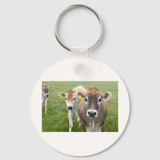 Porte-clés Vaches curieuses (Recto)