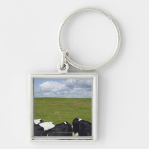 Porte-clés Vaches dans un pâturage