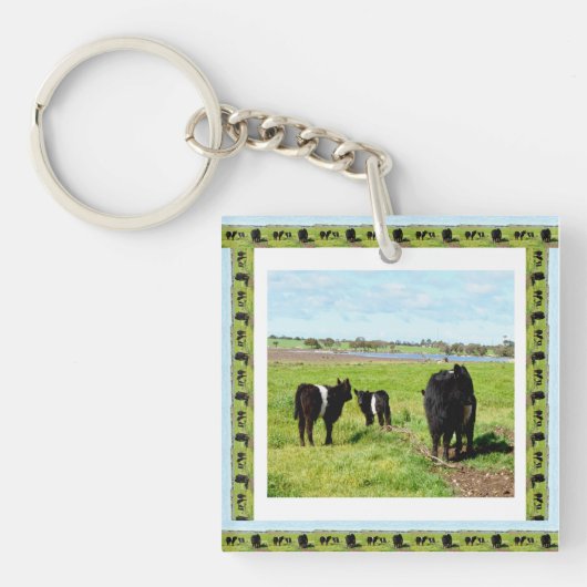 Porte-clés Vaches Galloway encadrées, Clavier (Devant)