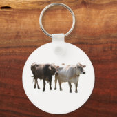 Porte-clés Vaches suisses Brown (Recto)
