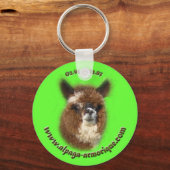 Porte-clés valdivia l'alpaga (Recto)