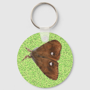 Porte-clés Vapourer Moth Porte - clé
