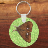 Porte-clés Vapourer Moth Porte - clé (Recto)