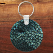 Porte-clés Variole de mer (Recto)