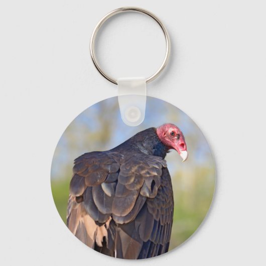 Porte-clés Vautour de Turquie perché sur le tronc (Recto)