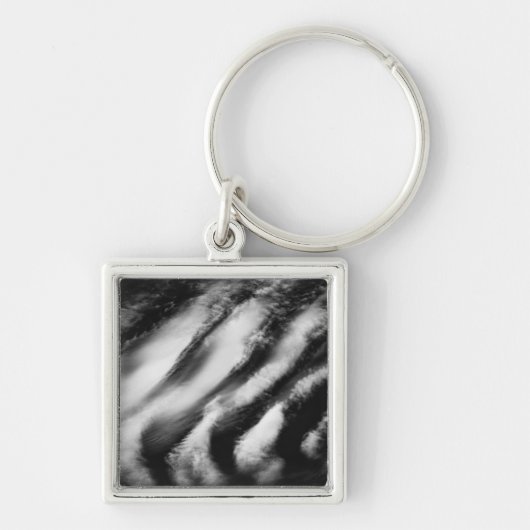 Porte-clés vautours tombé (Devant)