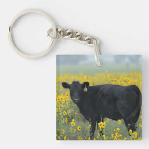 Porte-clés Veau noir dans un champ de tournesols